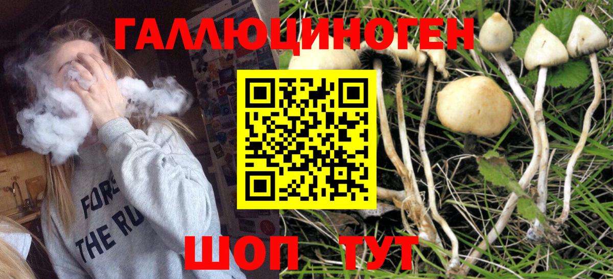 Ртищево  Псилоцибиновые грибы ЛСД  Псилоцибиновые грибы GOLDEN TEACHER  Вход с VPN 
